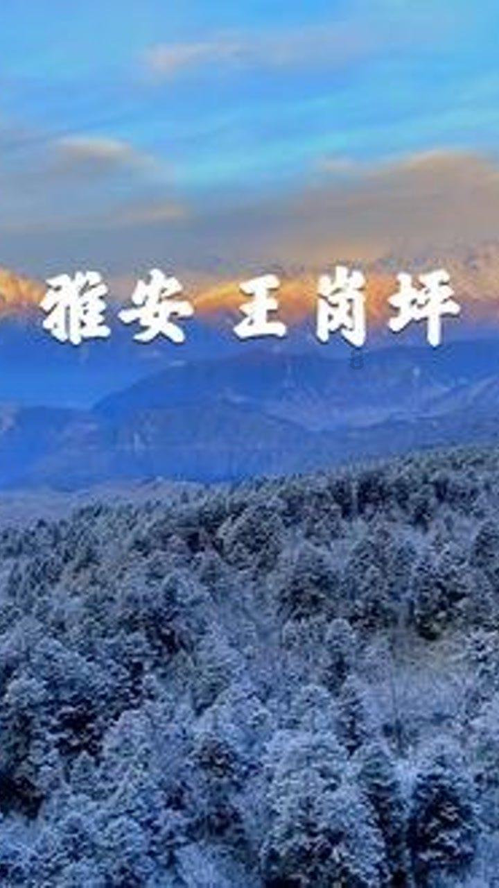 探索天涯,畅享羊肉怎么弄才好吃交流天地