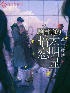 蓝狐视频